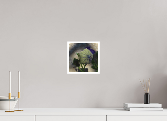 20 x 20 cm, Tirage photo sur Papier Fuji Velours 07h21 ¤ Juin