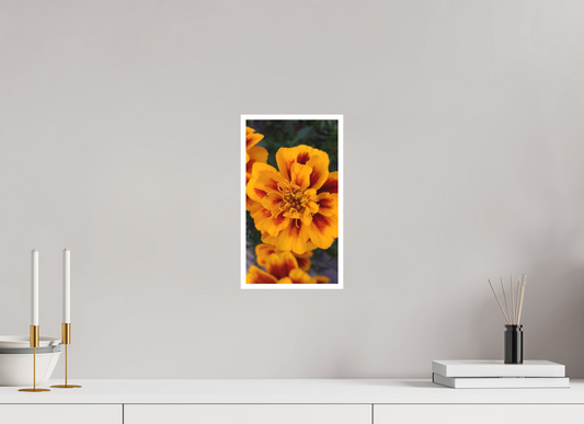 18 x 32 cm, Tirage photo sur Papier Fuji Velours 17h58 ¤ Octobre