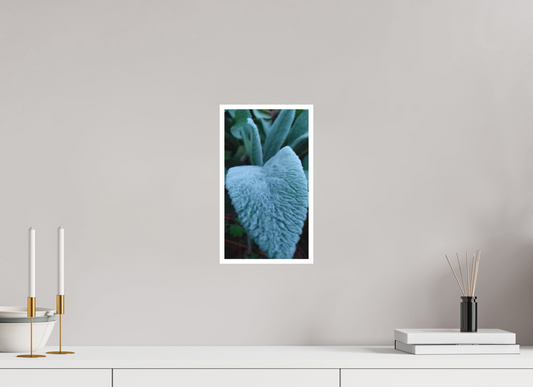 18 x 32 cm, Tirage photo sur Papier Fuji Velours 18h40 ¤ Octobre