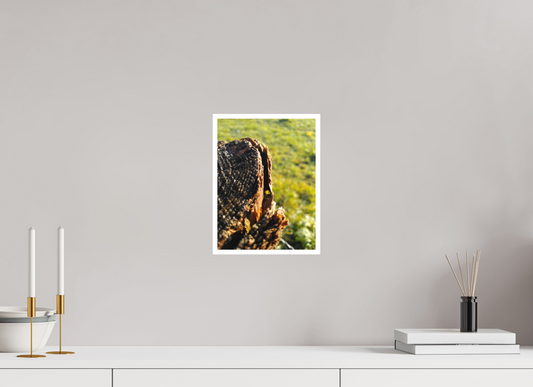 21 x 28 cm, Tirage photo sur Papier Fuji Velours 08h56 ¤ Novembre