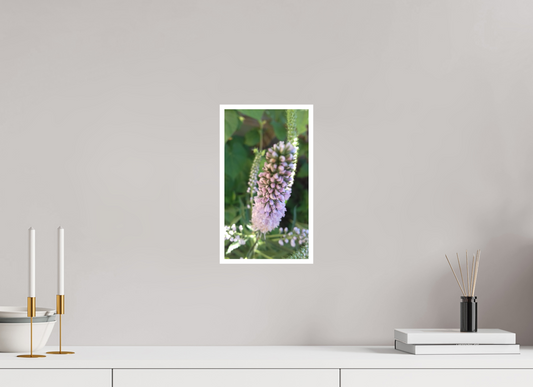 18 x 32 cm, Tirage photo sur Papier Fuji Velours 07h27 ¤ Juin