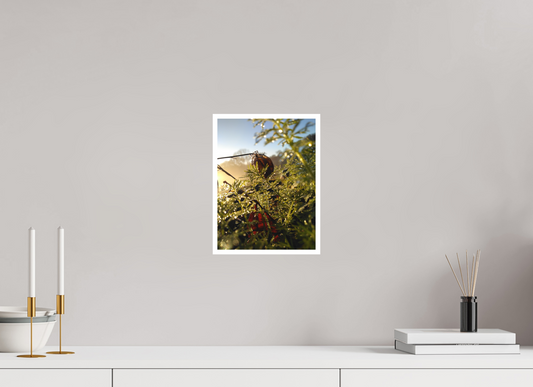 21 x 28 cm, Tirage photo sur Papier Fuji Velours 08h16 ¤ Novembre