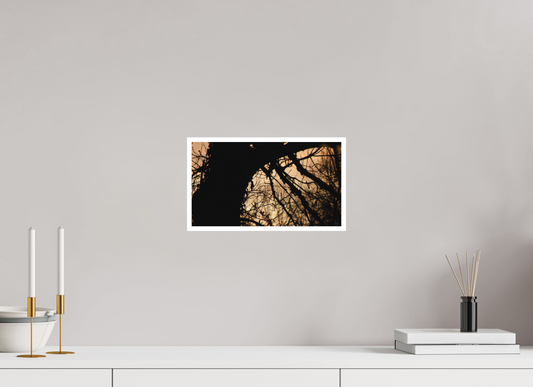 32 x 18 cm, Tirage photo sur Papier Fuji Velours 17h00 ¤ Décembre