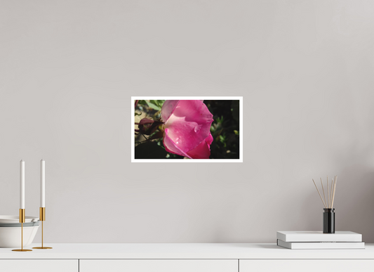 32 x 18 cm, Tirage photo sur Papier Fuji Velours 07h07 ¤ Juin