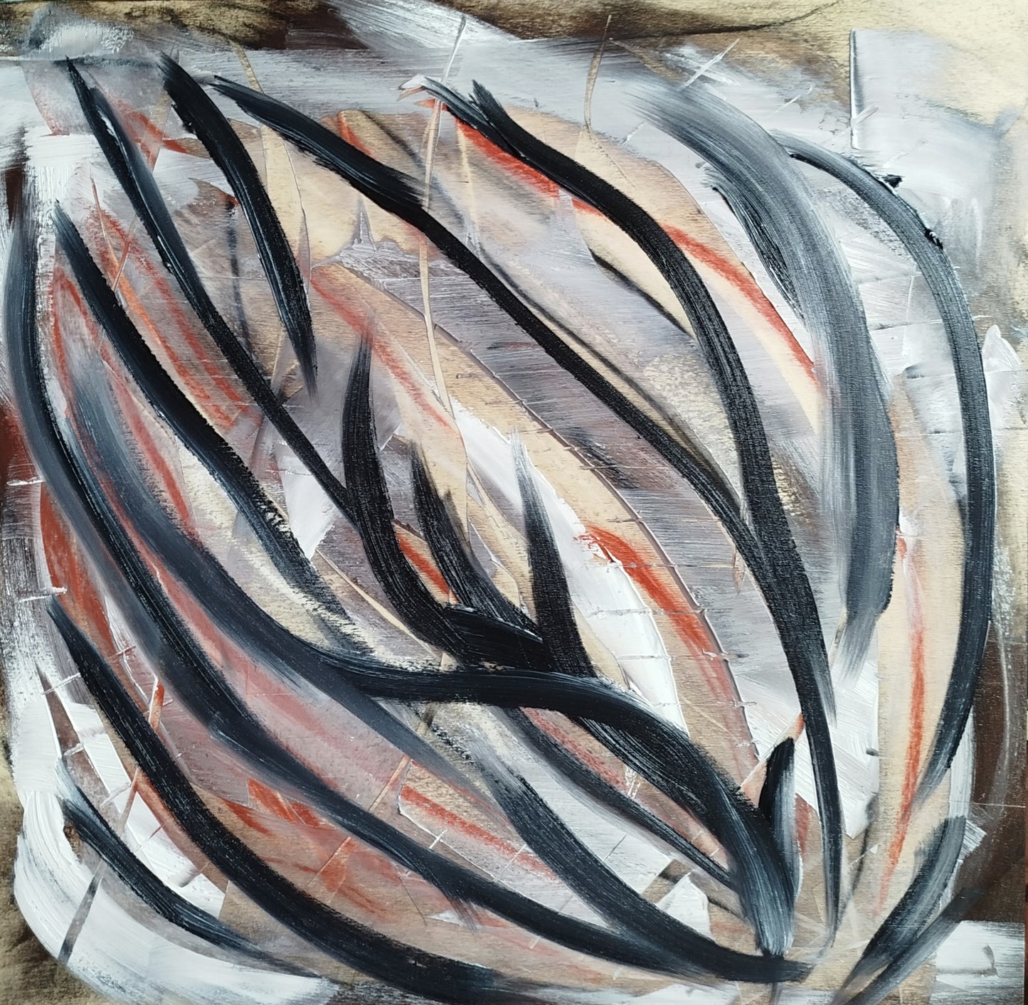 candesco | 50x50 cm