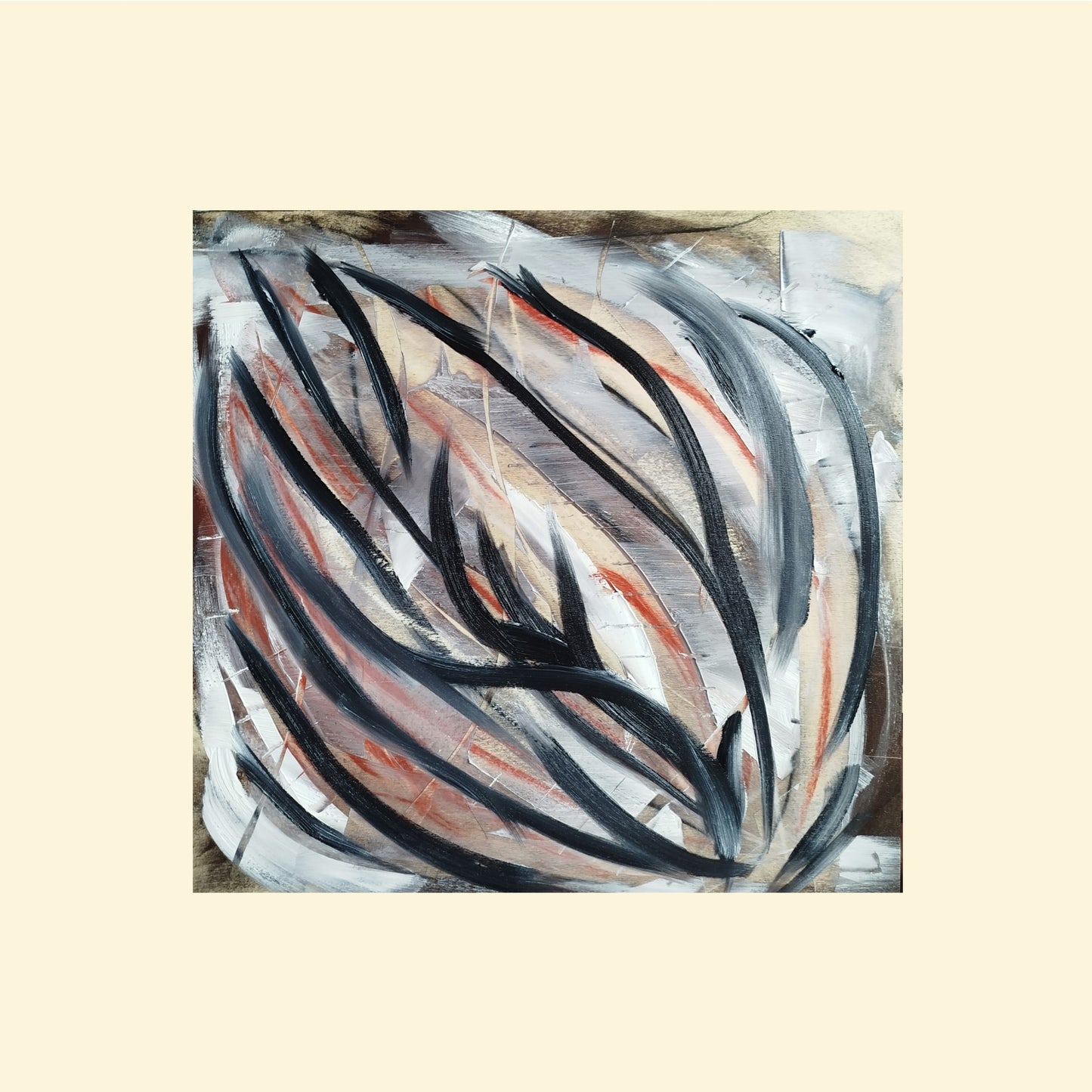 candesco | 50x50 cm