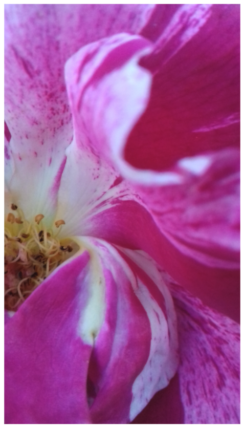 Main image 18h27 ¤ Octobre