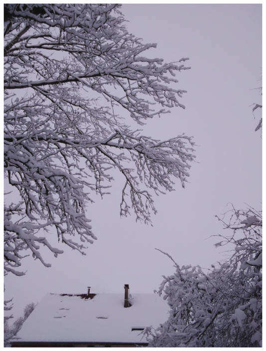 10:08 ¤ November