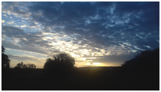 08:29 a.m. ¤ October