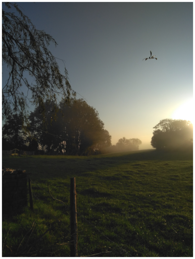 08:27 ¤ October