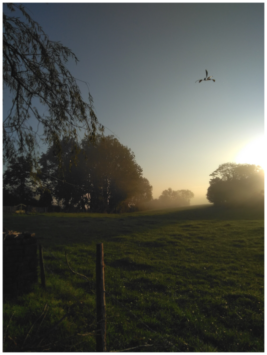 08:27 ¤ October