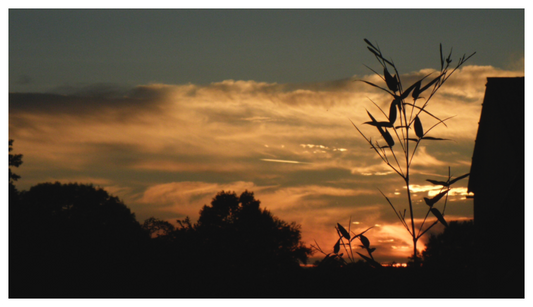 7:36 p.m. ¤ August