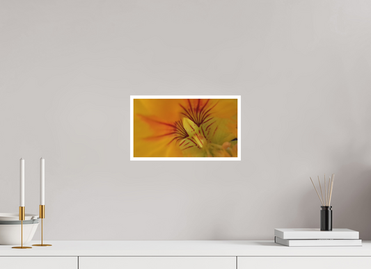 32 x 18 cm, Tirage photo sur Papier Fuji Velours 18h08 ¤ Octobre