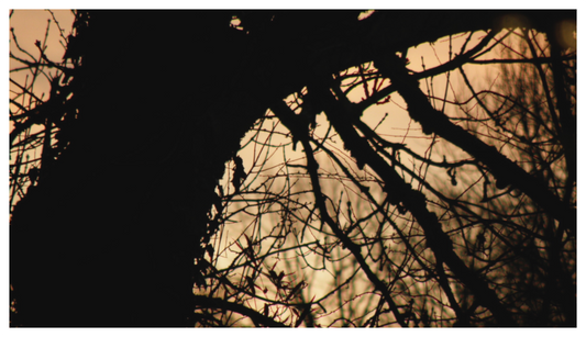 5:00 p.m. ¤ December