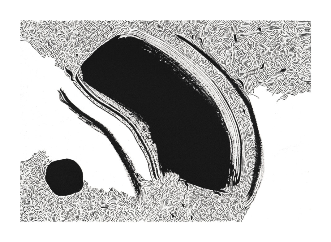 L'image représente un tableau abstrait à l'encre noire sur fond blanc. C'est une oeuvre de l'artiste peintre Maeva J., son titre est "Augure". 