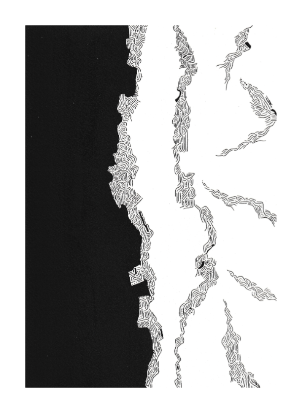 L'image représente un tableau abstrait à l'encre noire sur fond blanc. C'est une oeuvre de l'artiste peintre Maeva J., son titre est "Eclore". 