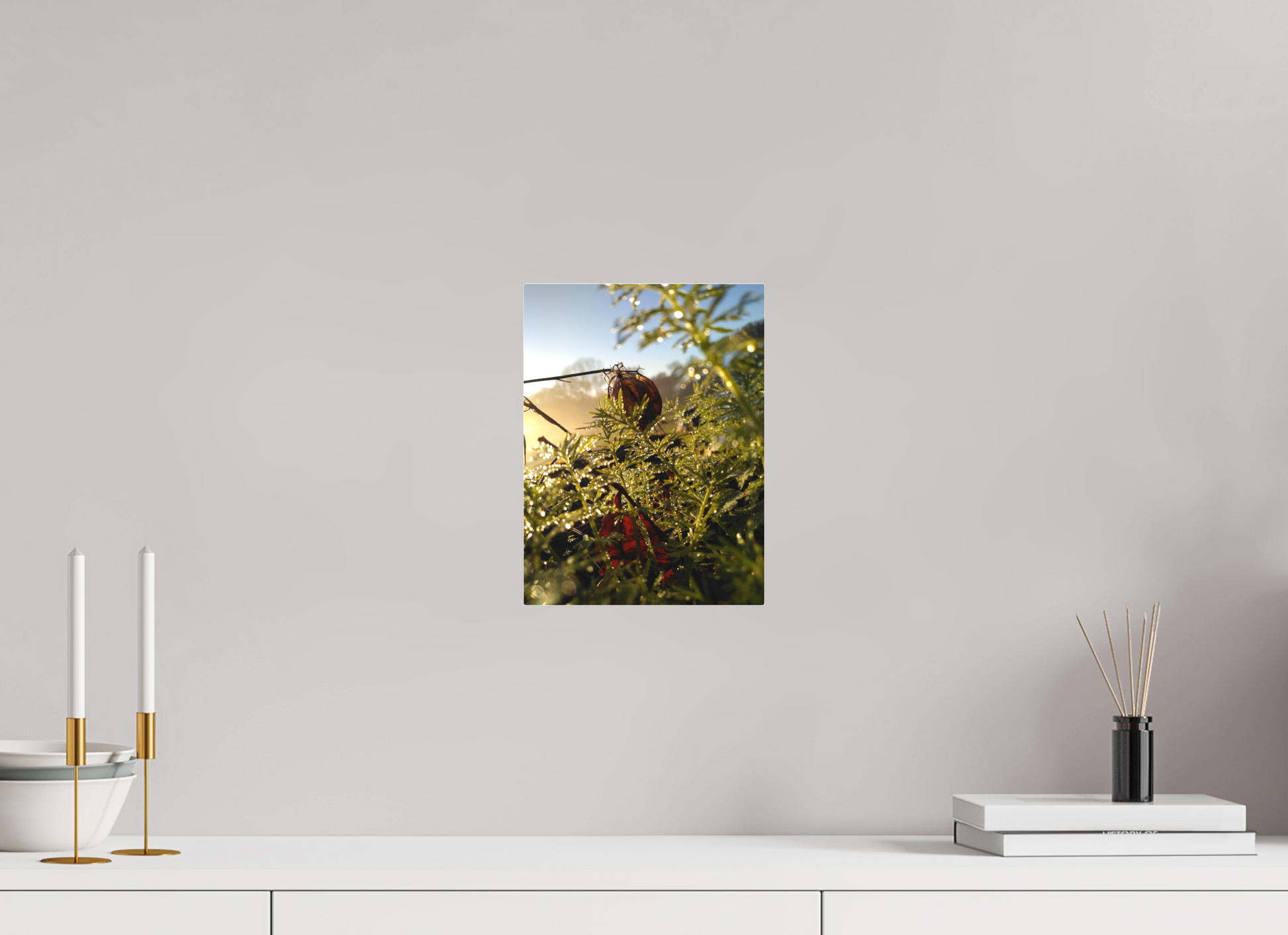 21 x 28 cm, Tirage photo sous Plexiglass Mat 08h16 ¤ Novembre