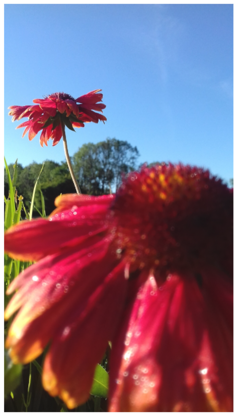 07:42 ¤ June